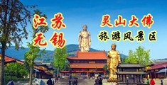 偷拍福利网页江苏无锡灵山大佛旅游风景区