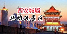 欧美大胸骚逼被操中国陕西-西安城墙旅游风景区